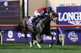 �yBC�W���x�i�C���^�[�t�X�v�����g�z�T�C�t�F�A���j��2���ڂ̖Ĕn���e�c�u���[�_�[�Y�J�b�v�J����𐧂�