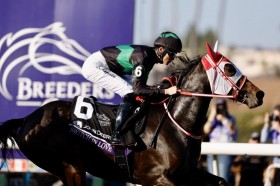 �yBC�W���x�i�C���t�B���[�Y�^�[�t�z���{�n�X�E�B�b�`�C��������11���c�}�[�t�B�[�R��̃o�����e�B�i��������