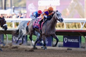 �yBC�W���x�i�C���z�e�b�h�m�t�B�[��������4�A����2�Ή��҂ɋP��