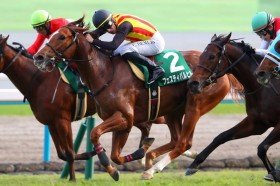 �y�t�@���^�W�[S�zC.�f���[���̑N�₩�Ȏ�j���΂��y��c�t�F�X�e�B�o���q���̒�����C���܂�