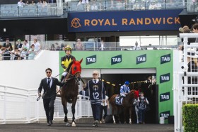 �y���S�[���f���C�[�O���z���{�n�p���W���^���[�͌����ɐL�т��5���܂Łc���I�[�^���O���[������8�A����V