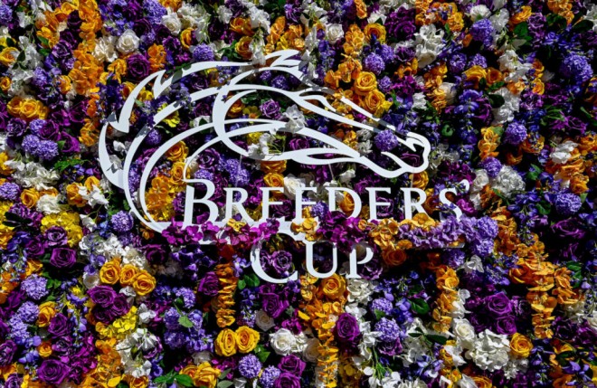 フォーエバーヤング 2025年ブリーダーズカップ 両日セット➕ネックストラップ SHADEプレイヤーストラップ2025 | SHADE