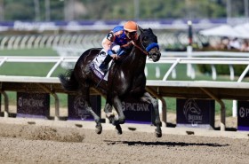 �yBC�t�B���[�����A�X�v�����g�z�n���X�v�����h�����N�₩�����o��V