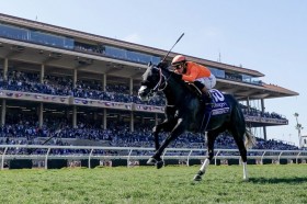 �yBC�^�[�t�X�v�����g�z�I���e�B�XJr.�u�ƂĂ��y�ł����v�c�ăV�\�X�p�C�V�[���g�����hV�I���{���͊��s