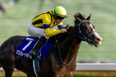 競馬 C.デムーロ騎手 実使用 ジョッキーパンツ 競馬 C.デムーロ騎手 実