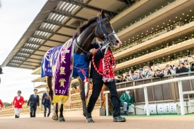 WIN5��713���~���̕��߂��c�V�c�܁E�H�̓}�X�J���[�h�{�[����V