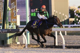 �yJBC�X�v�����g�z��䏊���t�@�[���q���������؂�V�c���_�[�g�̃}�}�R�`����2��