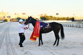 �yJBC�X�v�����g�z�r�R�t�u���N�͊C�O������Ɂv��䏊���t�@�[���q�����N�₩��������V