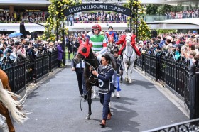 �y�������{�����J�b�v�z���{�n�V�����@���G���[�Y��23����s�c�����R��J.�����n���R��A�n�[�t���A�[�Y��V