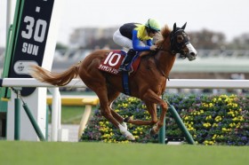 �y�����t2��S�z�����[���R�� �_�C�������h�m�b�g���d�܏����e