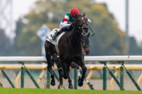 �y�V�n/����5R�z�R���g���C���Y�� ���H�[�g�Z���X�g���f�r���[V