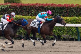 �y����2R�z�P��1.4�{�T�����U�[�����l�C�ɉ�����