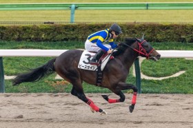 �y�V�n/����6R�z6�Ԑl�C�s�[�X�T�C�����f�r���[V�c�f�R�l�C�Q�^���A��9��