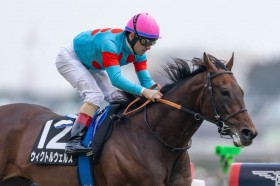 �y�C�N�C�m�b�N�XM�z�f�R�l�C�E�B�N�g���E�F���X�������c�����[���͖{��3����