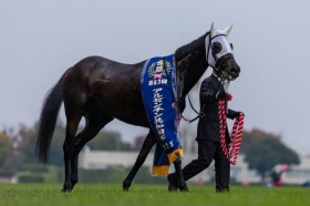 WIN5��554���~���̕��߂��c�A���[���`�����a���t�͕����~�X�e���[�E�F�C��V