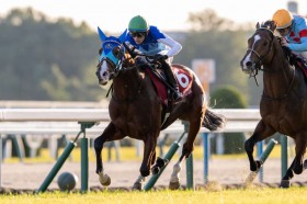 �y�f�C���[�t2��S�z�A�h�}�C���N���b�Y�����R�[�hV�c�f�r���[2�A��