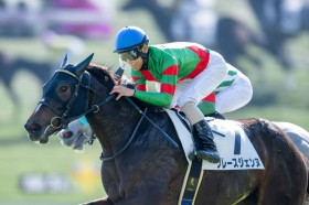 �y�V�n/���s5R�z�ǌ��O���[�X�W�F���k���f�r���[V�c�u���b�N�X�s�l������