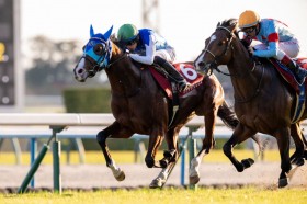 WIN5��1200���~���̕��߂��c�f�C���[�t�̓A�h�}�C���N���b�Y��V