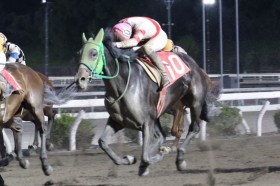 �y���m�E�y���������ʁz7�Ԑl�C�s�[�X�h���C�u�����������؂�V�c6��ڂŏ��d�܏����e