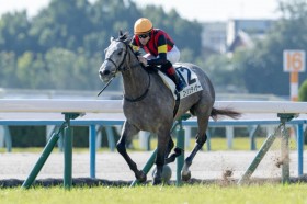 �y���s3R�z�G�C�V���e�B�U�[���������c�f�R�l�C�A�����@���h���[�h��2��