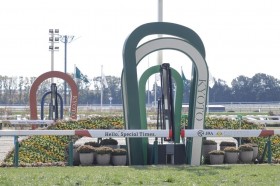 �y���s7R�zC.�f���[���R�� �S�[���f���N���E�h���l�C�ɉ�����