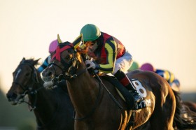 �y�h���J�X�^�[C �zC.�����[���R�� �K�C�A�����e���l�C�ɉ�����