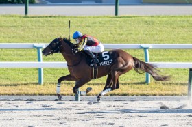 �y�V����S�zC.�f���[�����{����4���ځc�g���|���^�j�A�Ől�C�ɉ�����