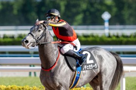 �y���e�܁zC.�f���[�����΂̋R���6�Ԑl�C�m�`�F�Z���[�_��V