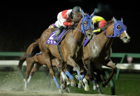 �y�����E�J�J�b�v�z�E���������j���o�ŘA�e�B���c�l�C�ɉ����č����؂�V