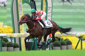 yX|t2So^nzGLAYETERUŘb̃eqREȂ15