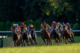 yGUxXtzC.f[uɂƂ낪v[XWbL[Rg