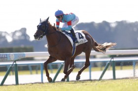 �y�V�n/���s5R�z�f�R�l�C�X�J�C�X�v�����_�[���f�r���[V