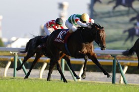 �y���X�|�t2��S�z�����[���R�� �p���g���i�C�[�t���d�܏����e�c1�Ԑl�C�_�m���q�X�g���[��7��