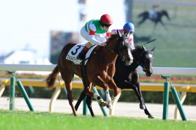 �y�V�n/����6R�z�P��1.5�{�t�F���~�A�[�N���f�r���[V