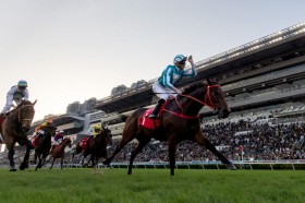 �y���`���n�z���}���`�b�N�E�H���A�[������V�I���H�C�b�W�o�u���Ƃ̈�R�ł��𐧂���c�W���b�L�[�N���u�J�b�v