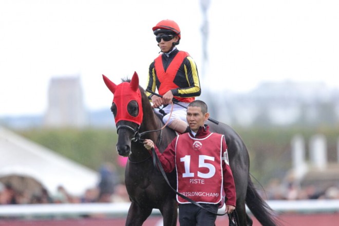 ジャパンカップ】仏帰りのクロワデュノールは514kg…出走馬の調教後の馬