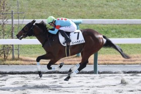 �y�V�n/���s6R�z�G���u���C�_���[���� �o�[�g���K�b�c���f�R�̎x���ɉ�����