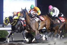 �y���m�E�Y�˘p���ʁz7�Ԑl�C���[�`�A�f�B�[���������؂�V�c���m�]���㏉�̏��d�ܐ��e