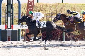 �y���s7R�z���L�h�D���G�e���m���N�₩�ȍ����؂�V