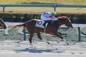 �y�V�n/����5R�z�}�[�J���h�R�� �G�W�v�V�����}�E���f�r���[V