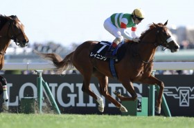 �y�I���G���^���܁z�����[���R�� �ǌ����C�j���O���A��