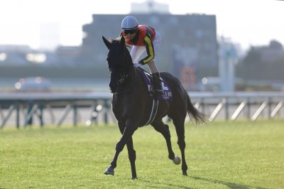 ジャパンカップ】ルメール「少し内へもたれた」レース後ジョッキー