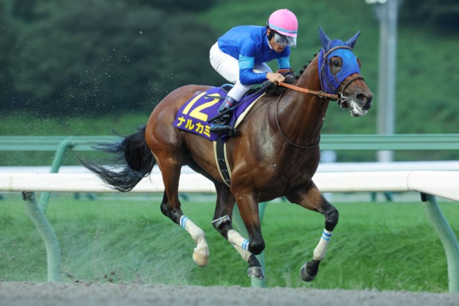 チャンピオンズカップ】4連勝中ナルカミは517kg…出走馬の調教後の馬