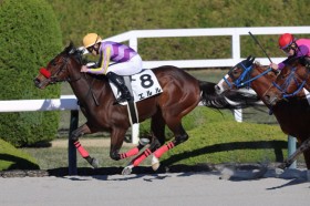 �y�V�n/��_6R�z�O���Y�G�������f�r���[V�c���E�|���Y��