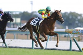 �y�V�n/����5R�z���L�S�[�S�[���`���[�h���f�r���[V