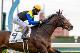 �y�V�n/����5R�z3���~�z�[�X�E�ǌ��C�x���g�z���C�]�����f�r���[V