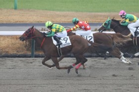 �y�V�n/���R6R�z�~�X�^�[�����f�B�Y�� ���N�X�|�b�v�X�^�[���f�r���[V