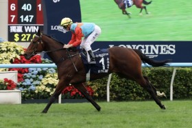 �y���`�X�v�����g�z��������I���E�ŋ��X�v�����^�[�E�J�[�C�����C�W���O��16�A��