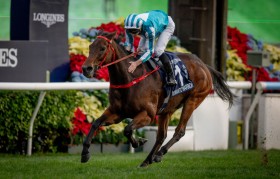 �y���`�J�b�v�z���}���`�b�N�E�H���A�[��4�A�e�c���{�̃x���W�I�I�y����2��