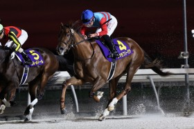 �y�S���{2�ΗD�x�zJBC2�ΗD�xV�̃^�}���t���[�W�A��1�g1��